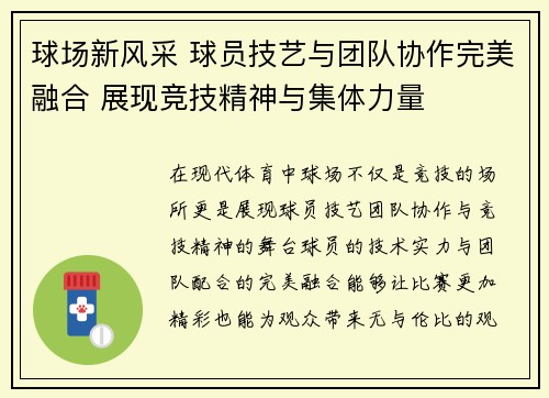 球场新风采 球员技艺与团队协作完美融合 展现竞技精神与集体力量
